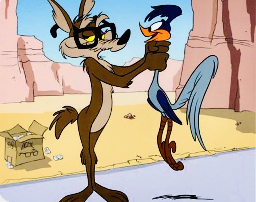 Roadrunner Goes Meep Meep!