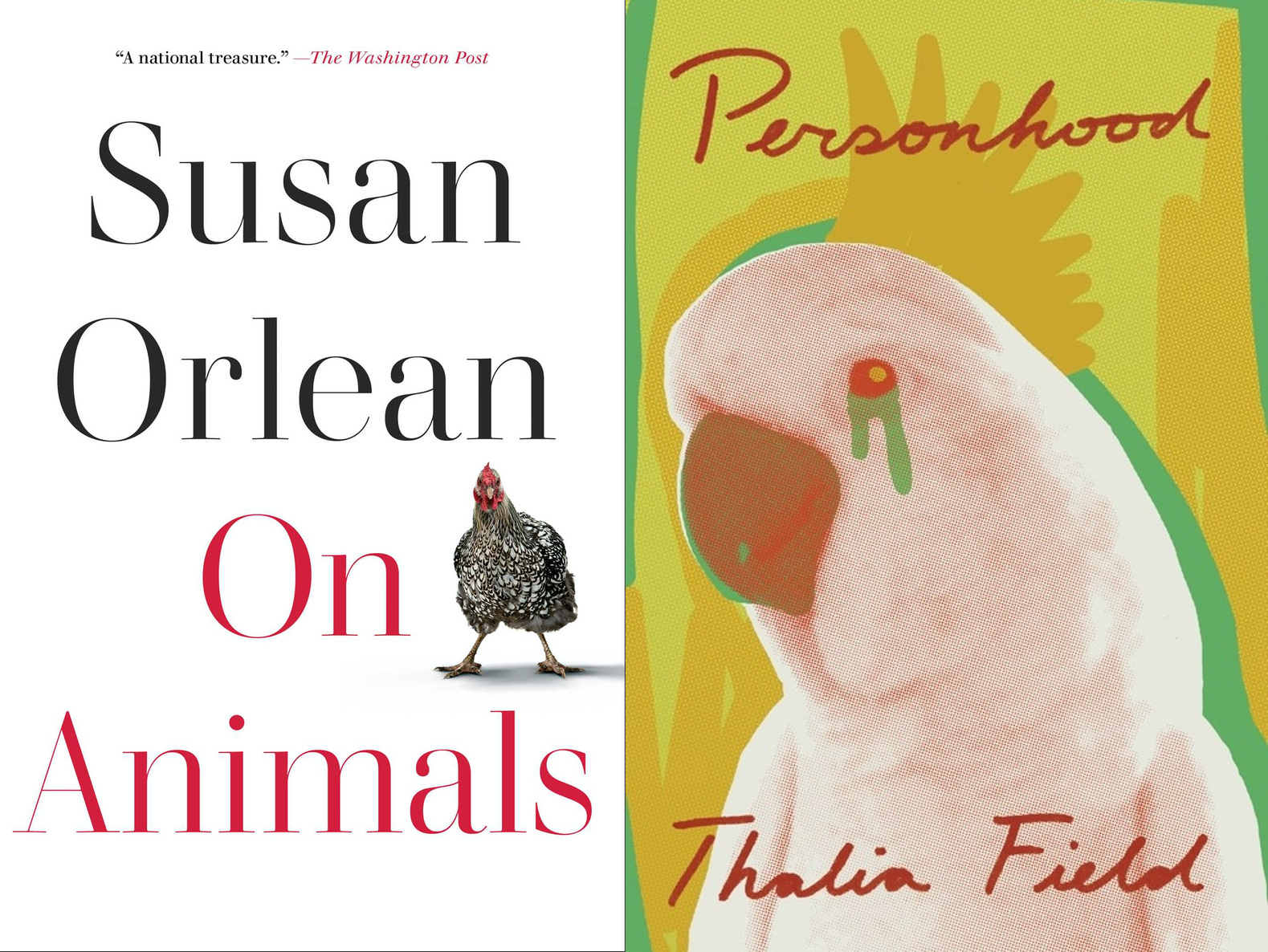 Review: Anakana Schofield, Two Books About Animals