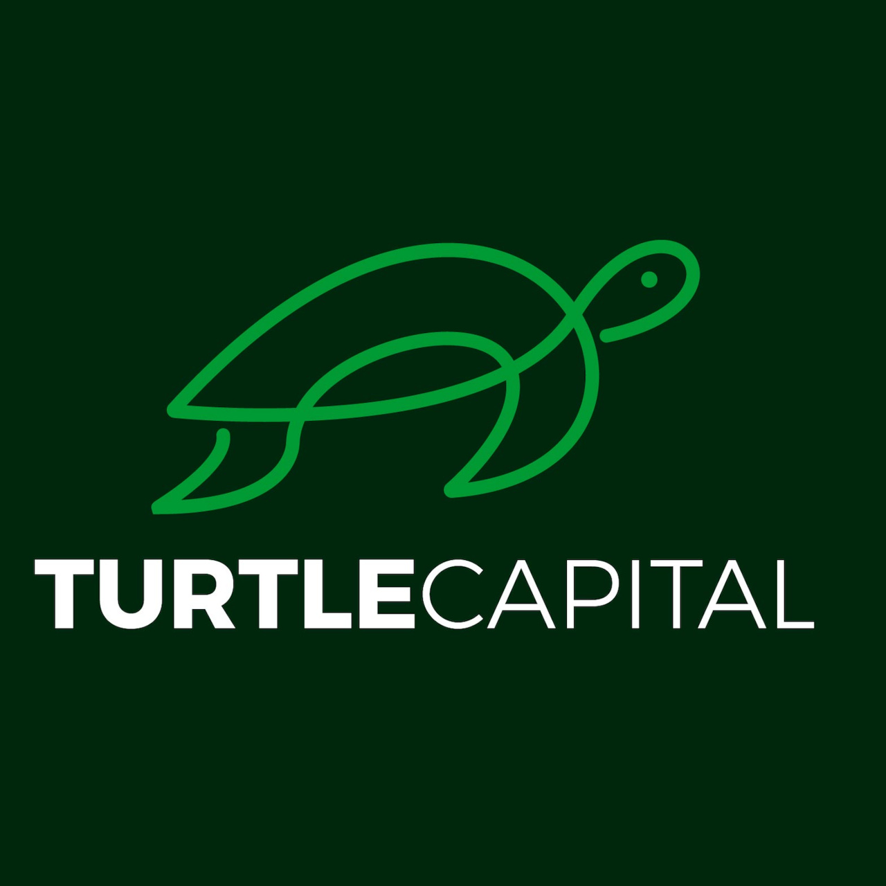 Artwork for Turtle Capital by Adrià Rivero
