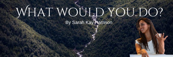 What would you do? - by Sarah Kay Harrison