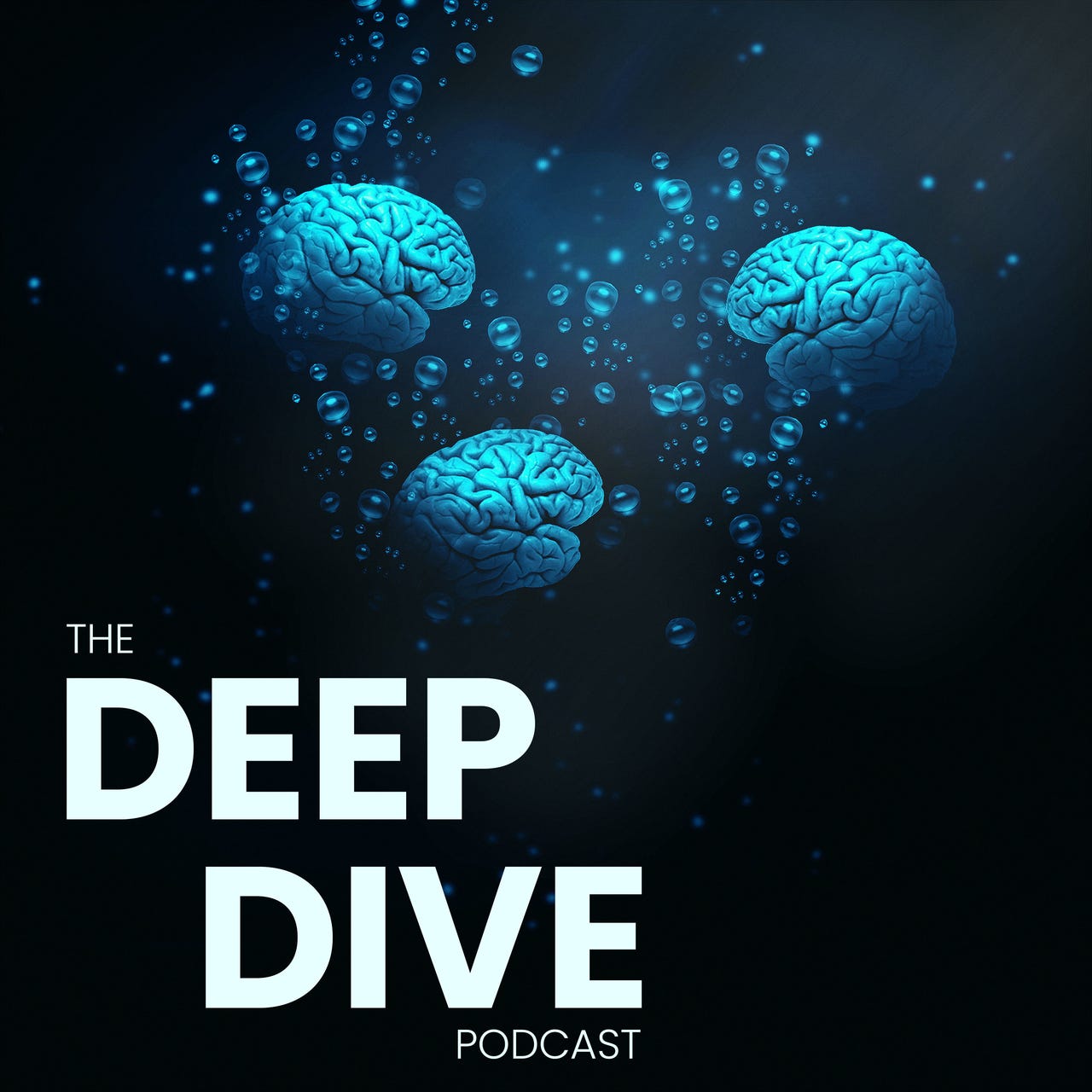 Artwork for Deep Dive Podcast