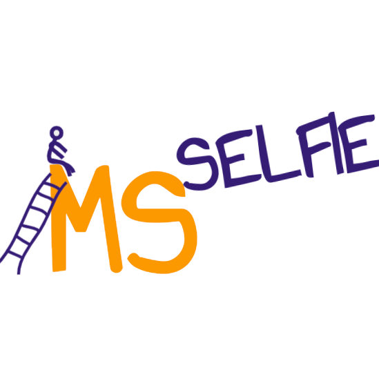 Artwork for MS-Selfie