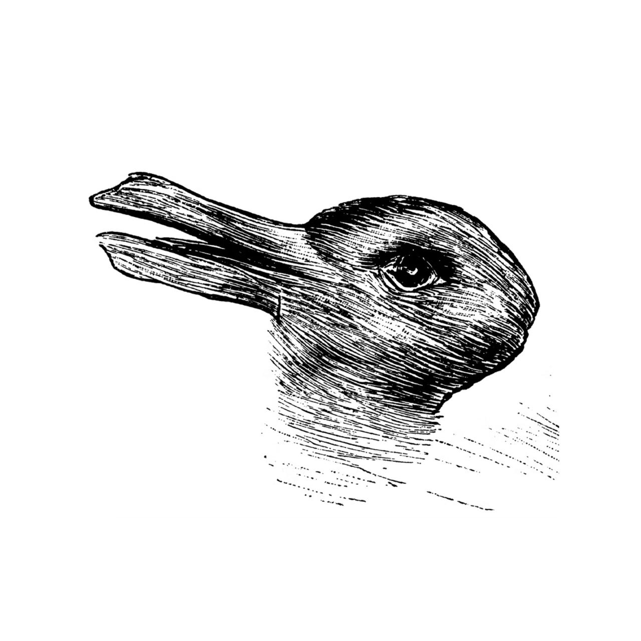 Duckrabbit