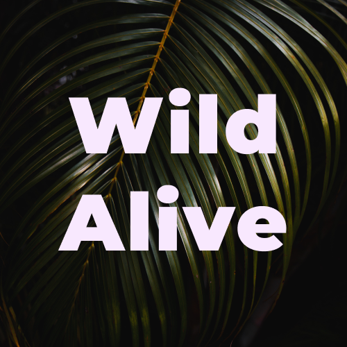 Wild Alive logo