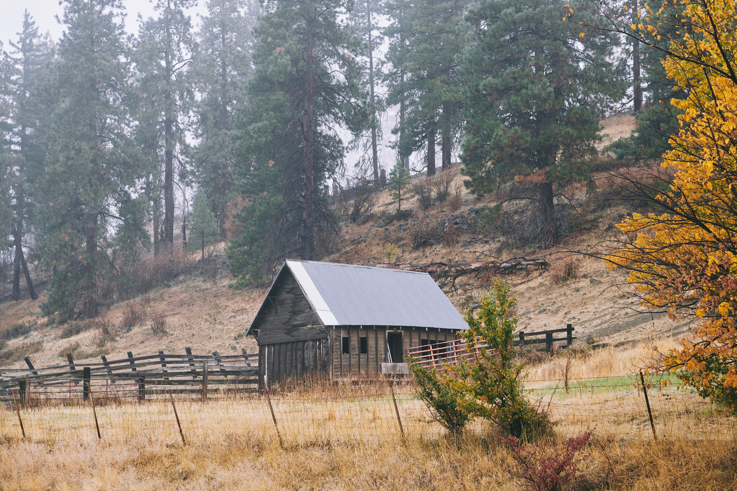 Leavenworth, WA Visit Harold’s Substack