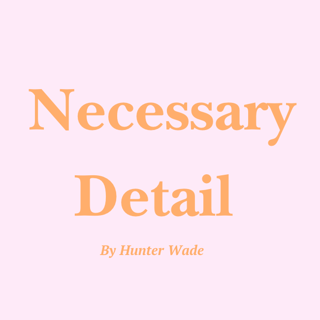 Artwork for Necessary Detail