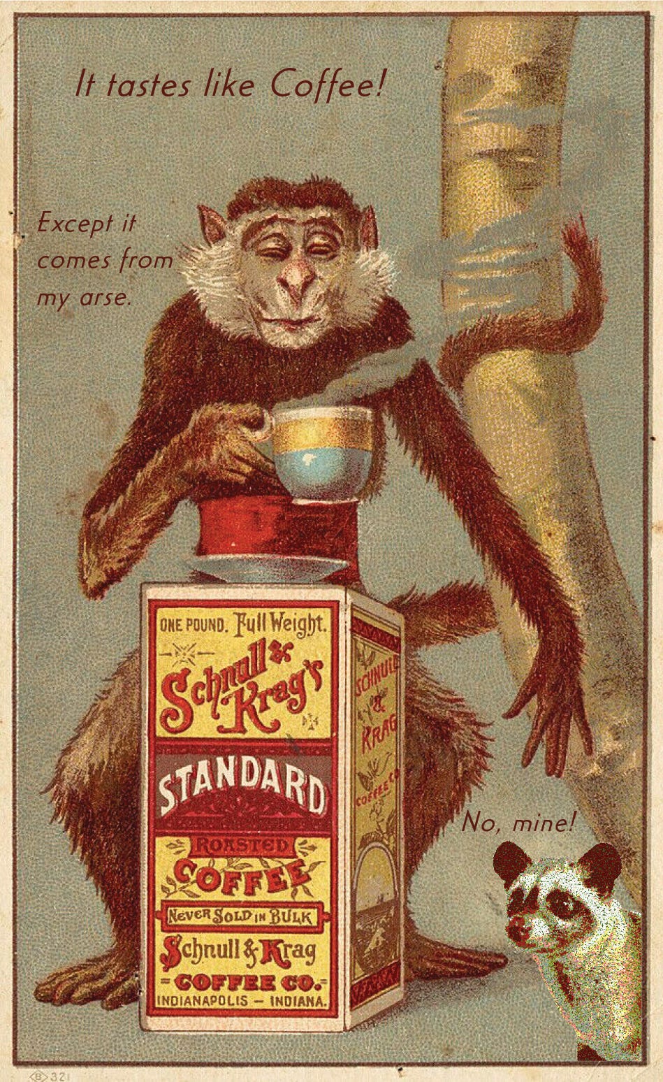 Civet Coffee: All About Kopi Luwak Coffee (and the cat that poops it out) |  EnjoyJava, image size:949x1548