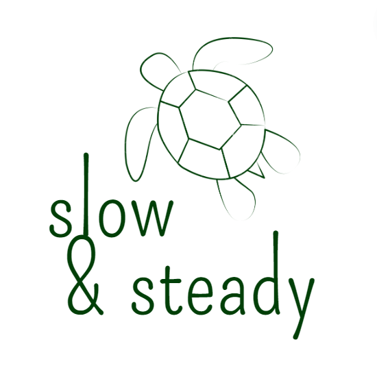 Artwork for Slow & Steady