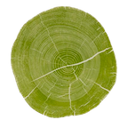 Story Ecology logo