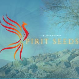 Spirit Seeds 