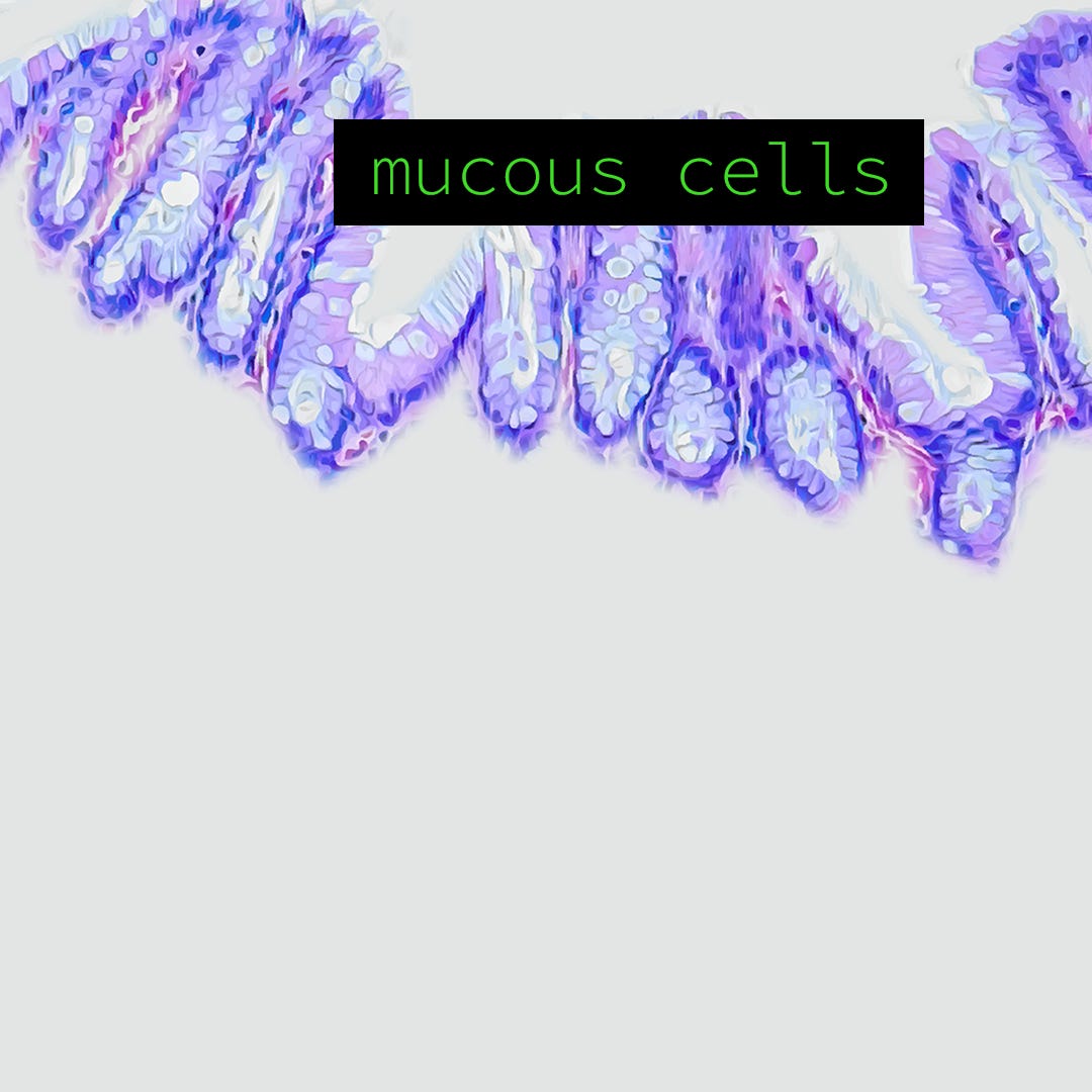 The Value of a Second, or 32nd, Medical Opinion