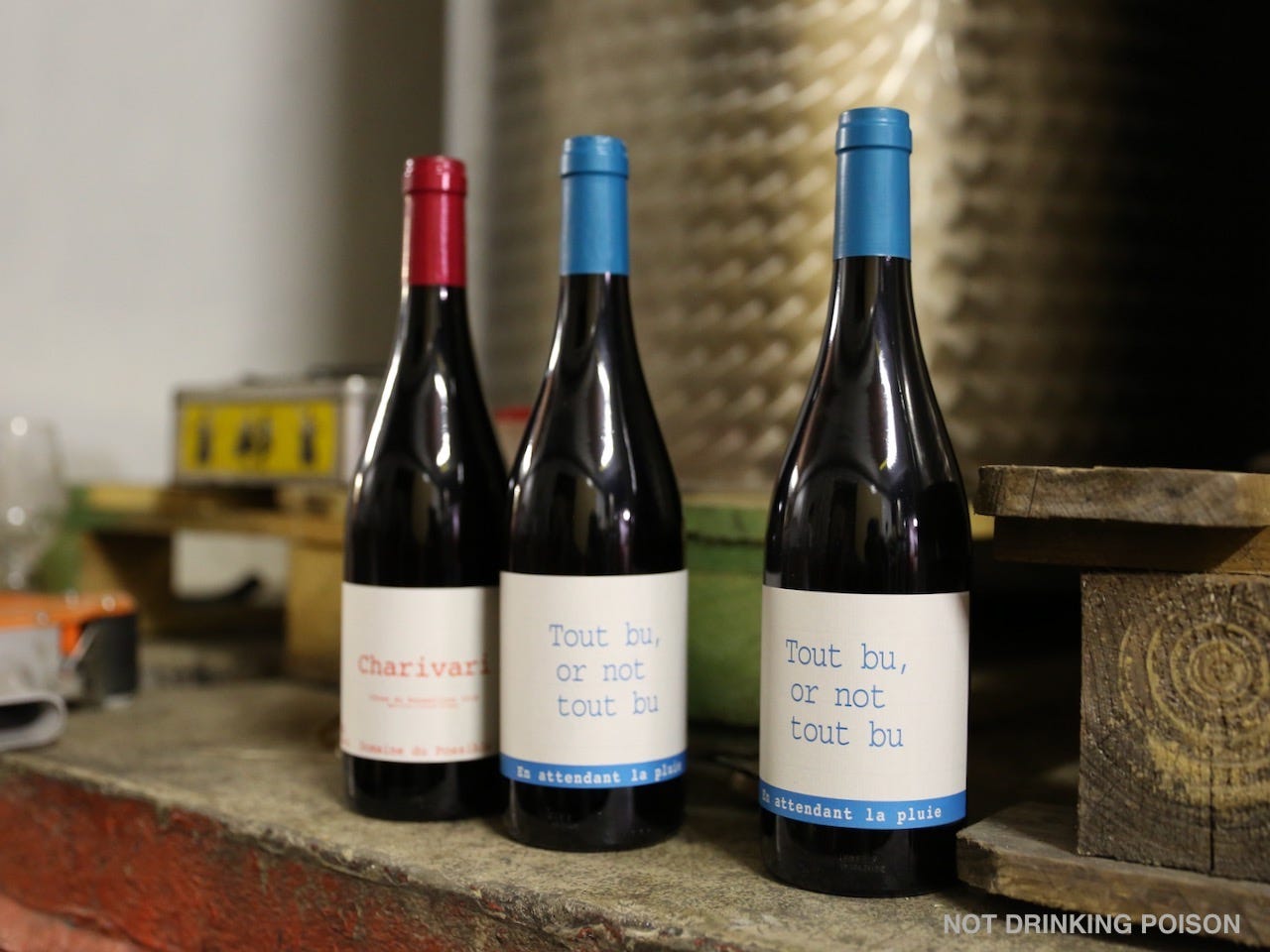 Fall 2023 Natural Wine Salons - by Aaron Ayscough