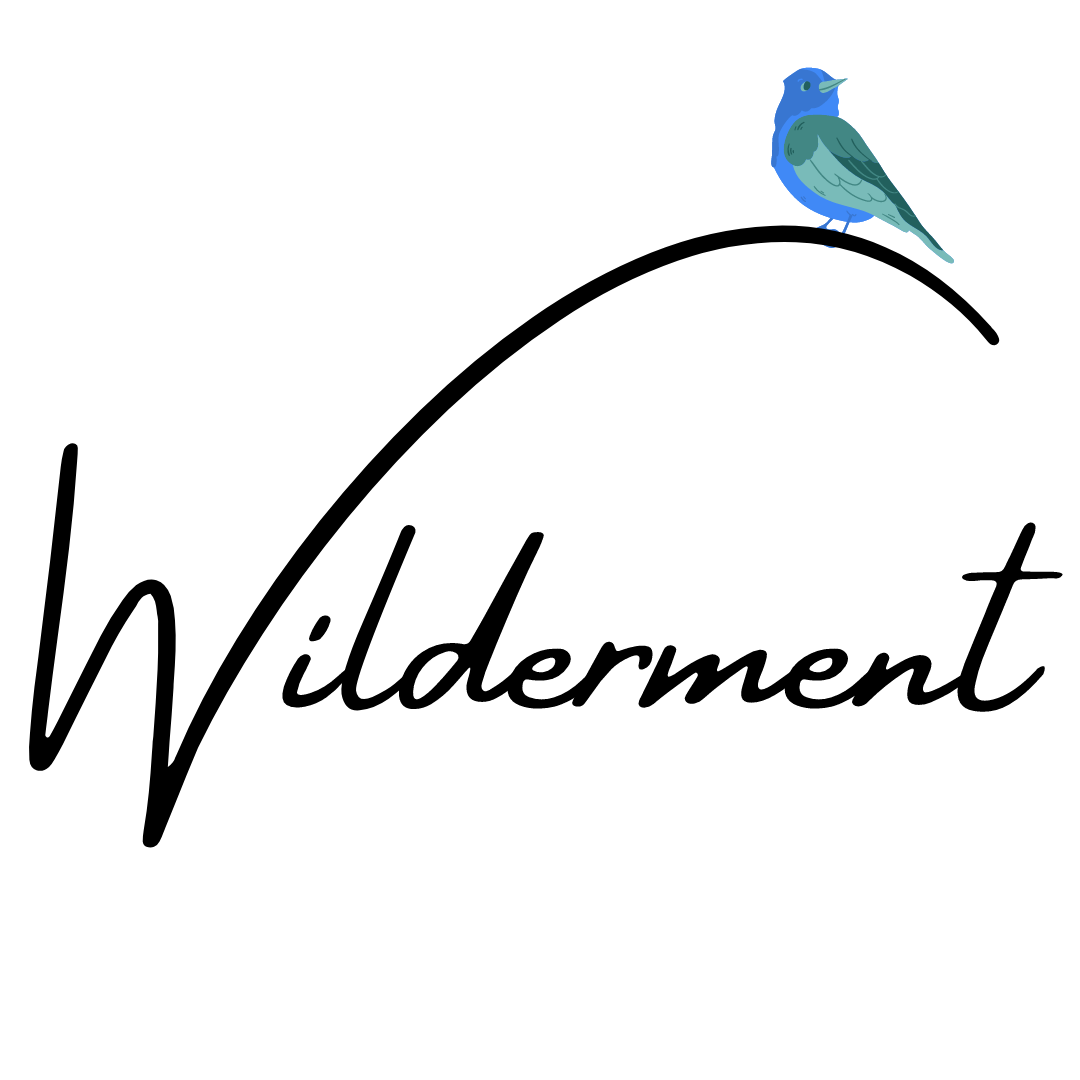 Artwork for Wilderment