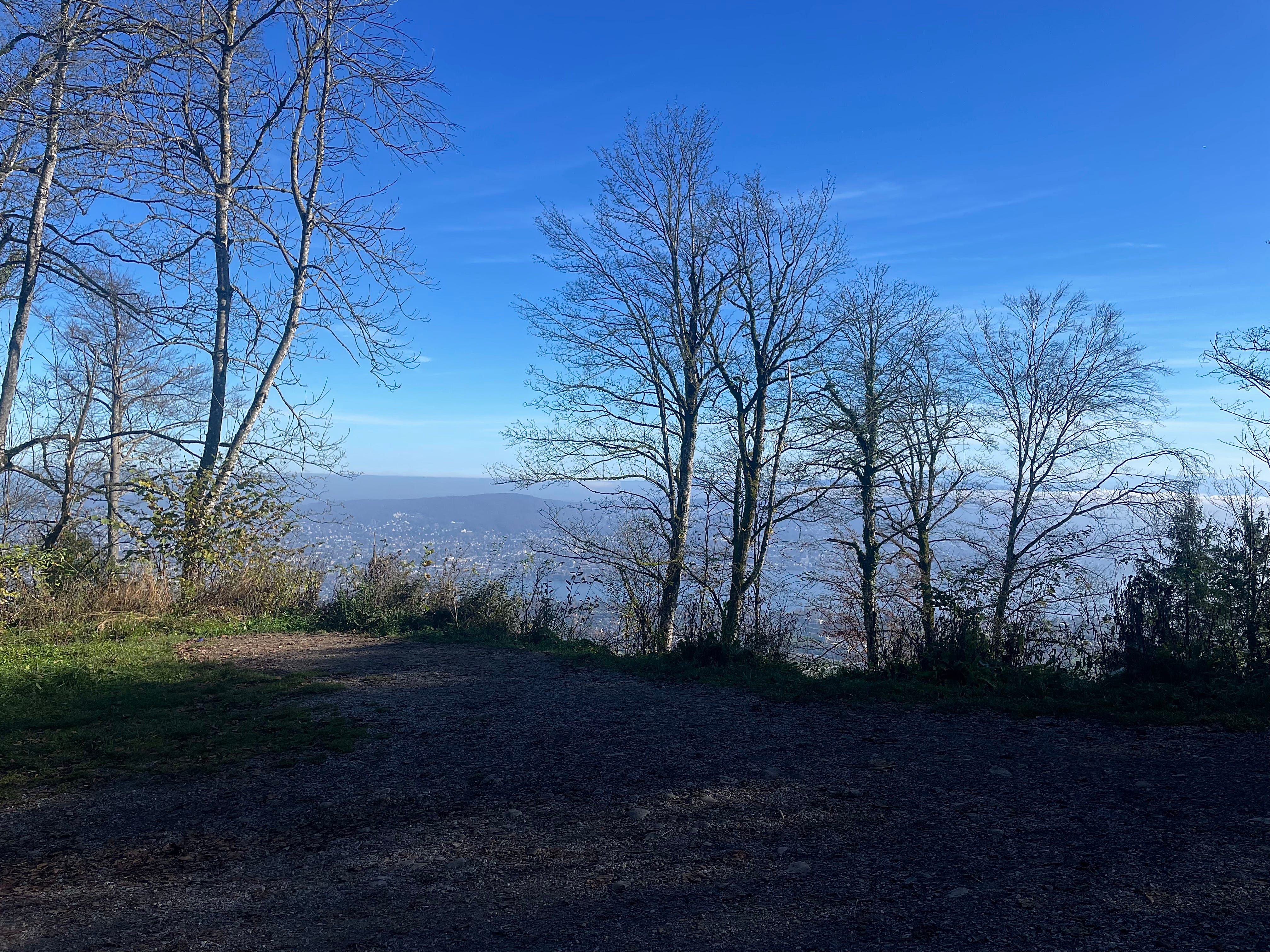 under the trees by From My Heart To Yours