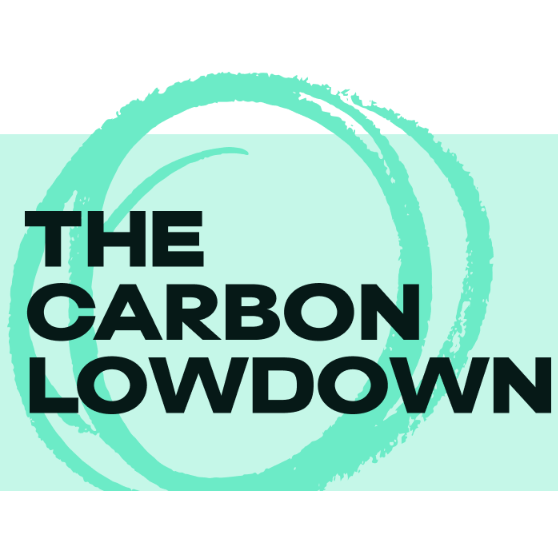 The Carbon Lowdown logo