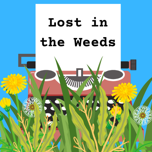 Artwork for Lost in the Weeds
