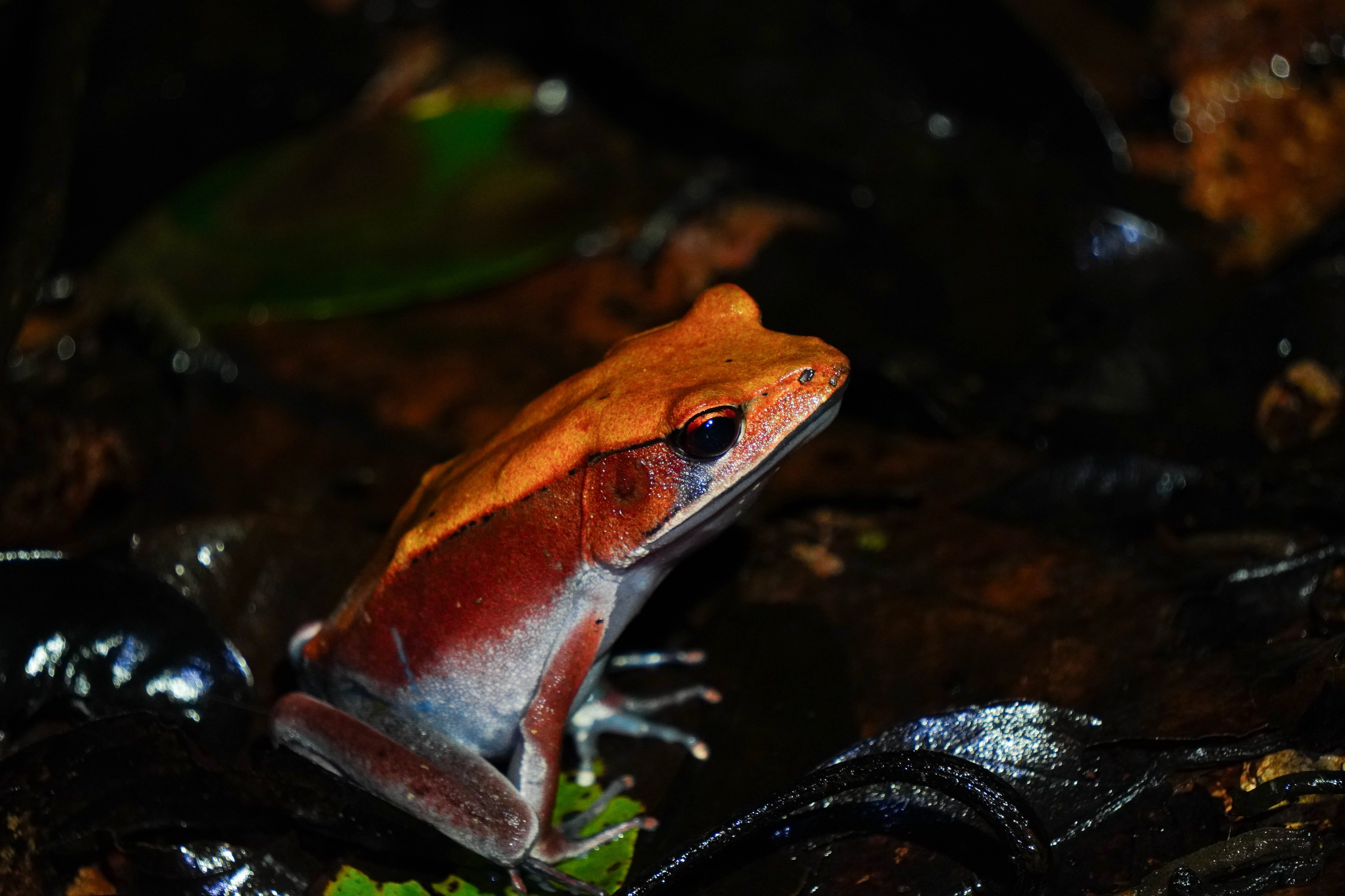 Here's Why You Should Go on a Solo Trip