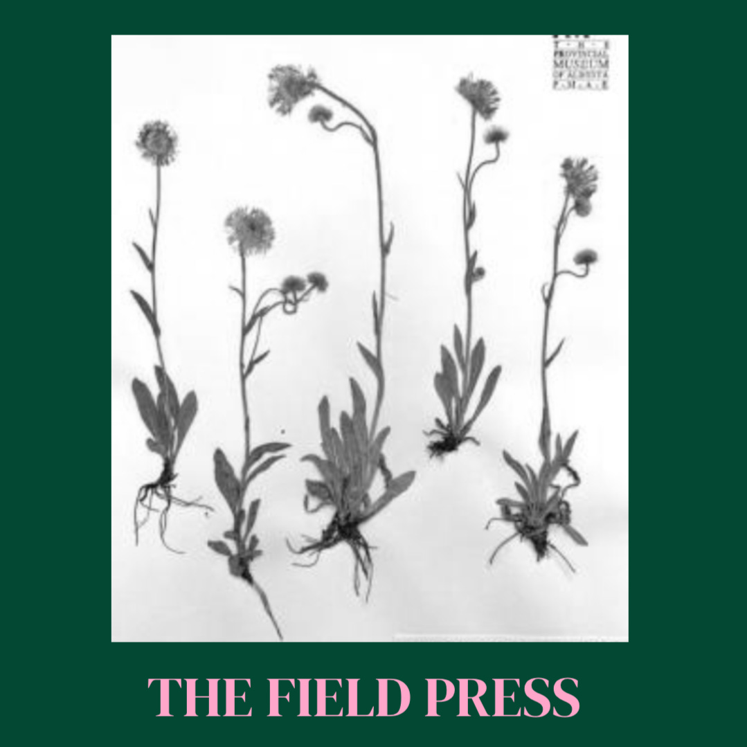 Artwork for From The Field Press