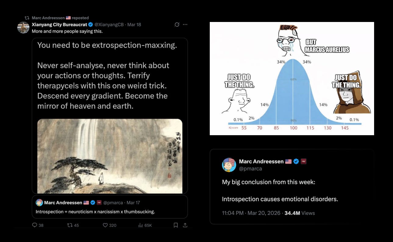 The body as optimization project