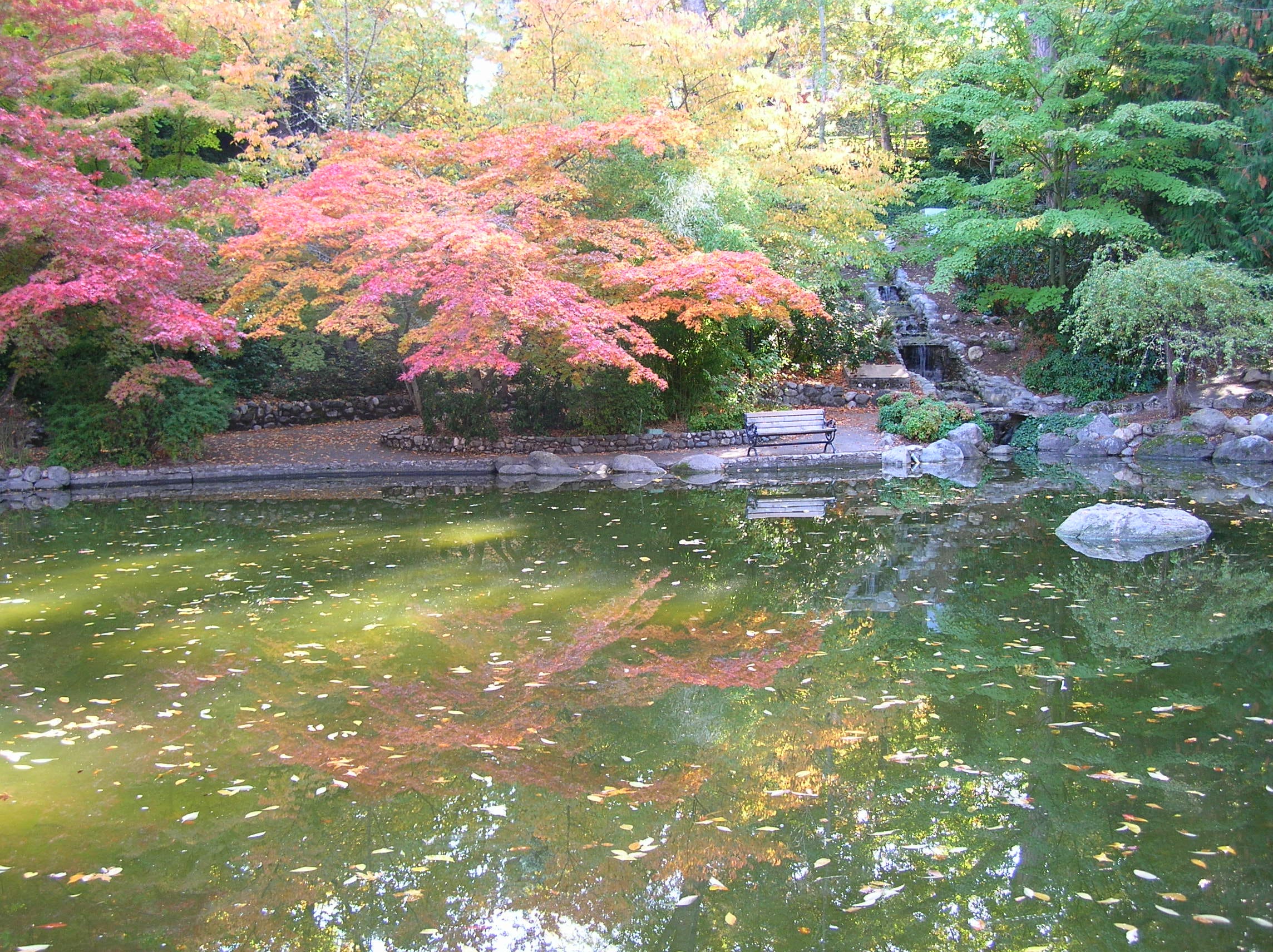 Fall in Your Garden Northern Arizona