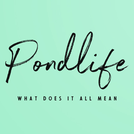 Pondlife - the world of Donald Pond