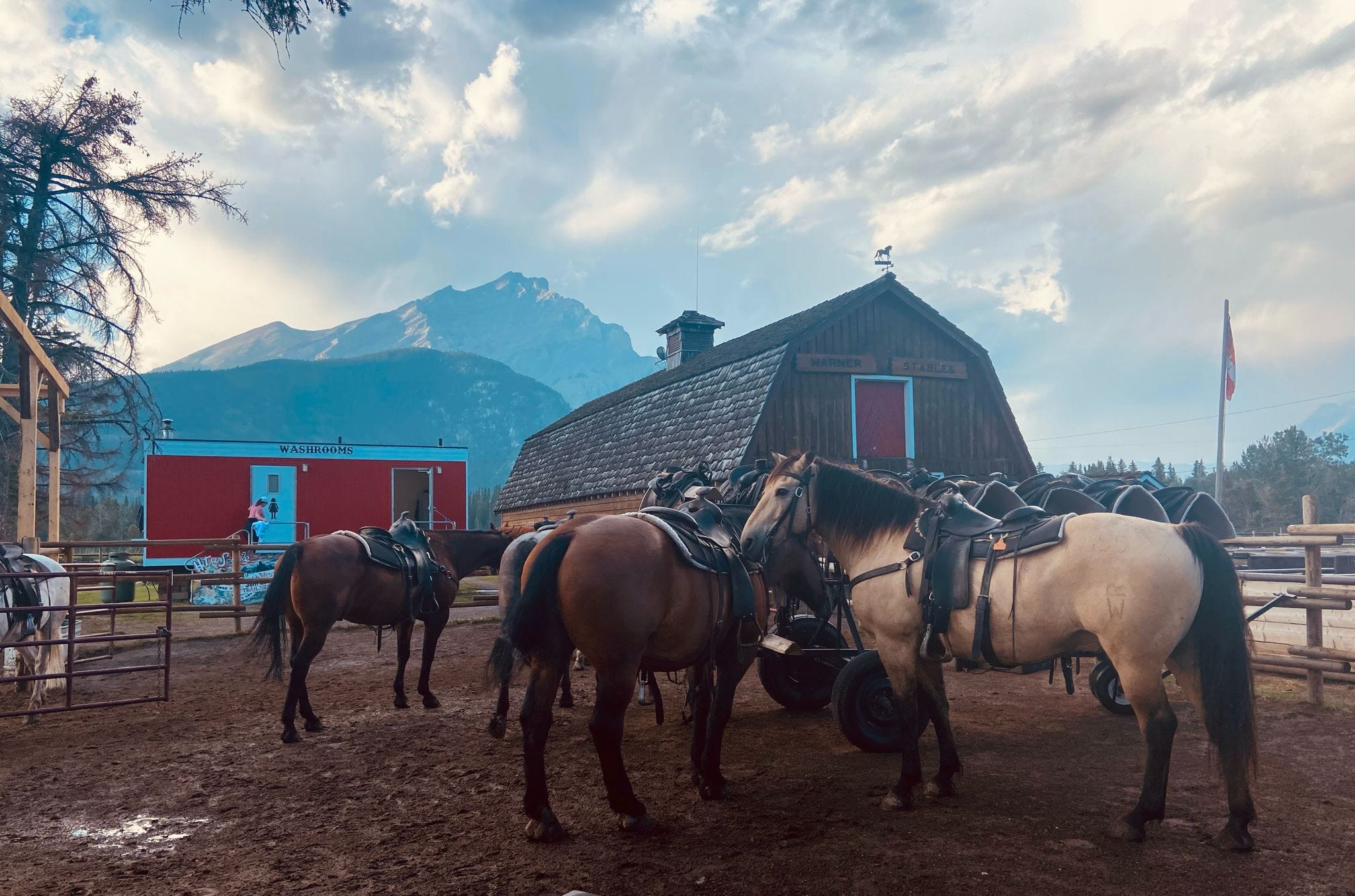 Unveiling the Majestic Canadian Rockies: A Journey through Banff National  Park