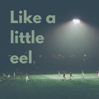 Like A Little Eel