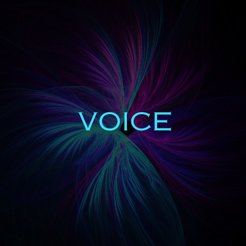 Voice logo