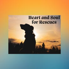 Artwork for Heart and Soul 4 Rescues