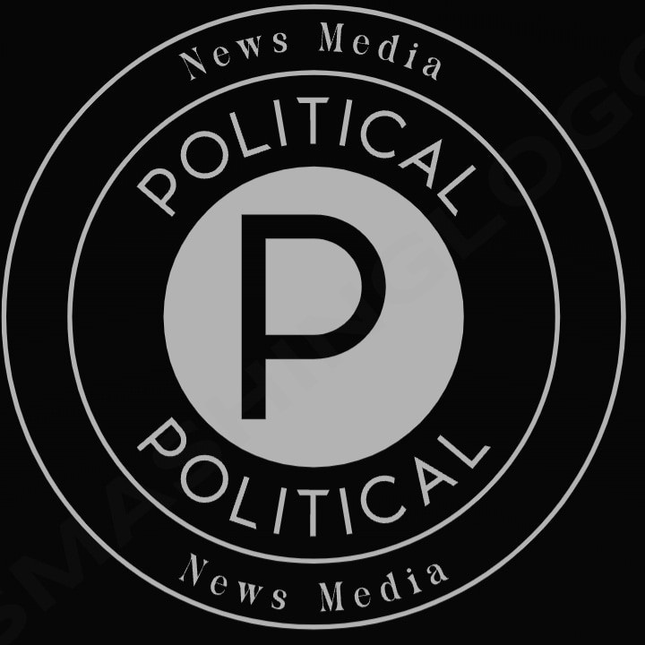 Political News Media  logo