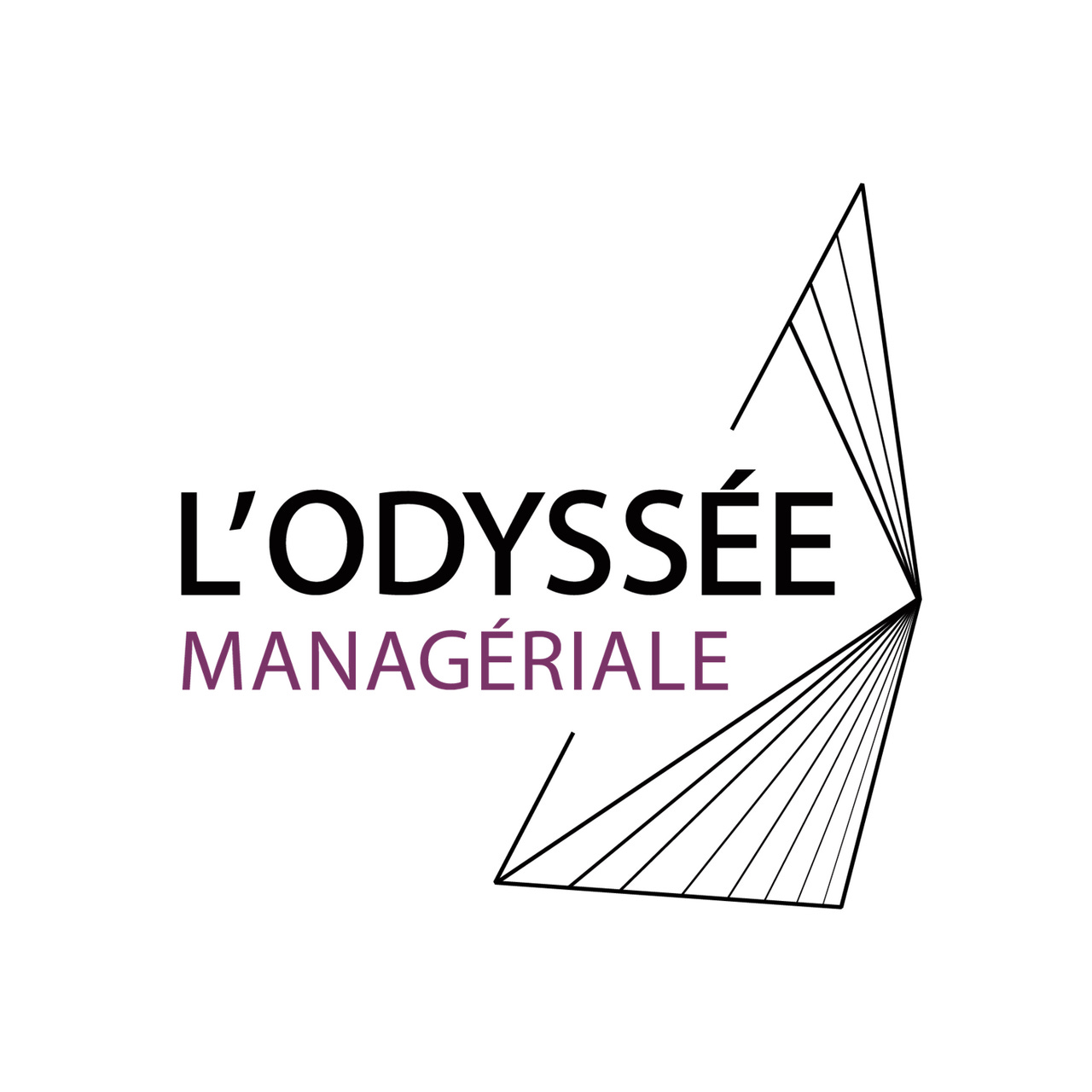 L'Odyssée Managériale