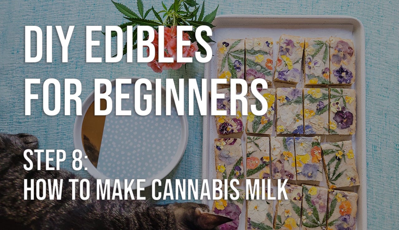 How to make cannabis milk - by Christina W.