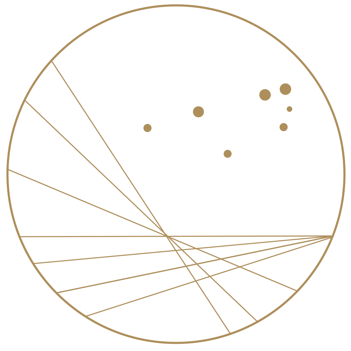 Becoming Whole x Dr. Erica Matluck