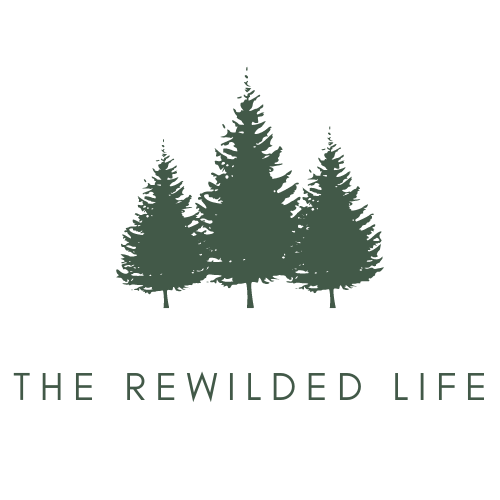 Artwork for The Rewilded Life