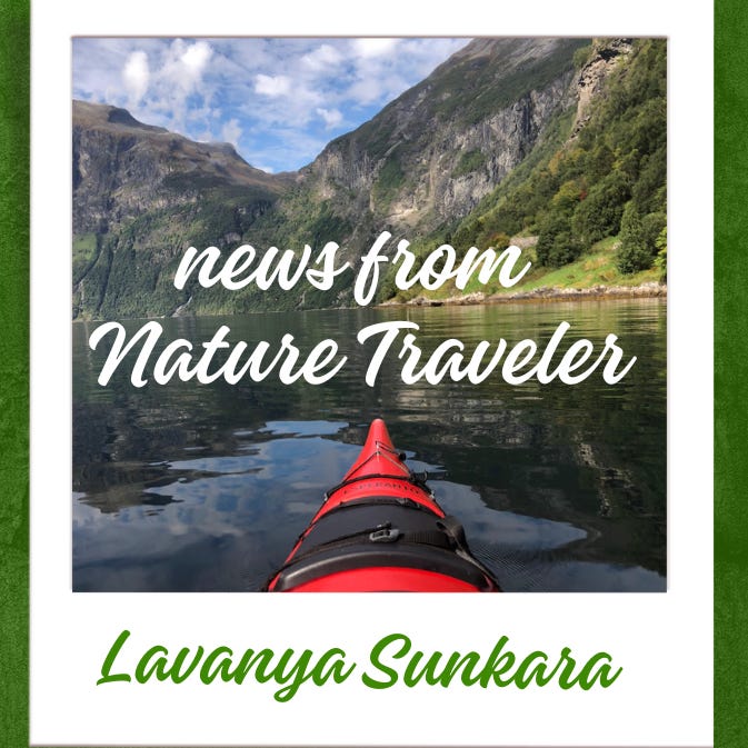 Lavanya’s Media Newsletter