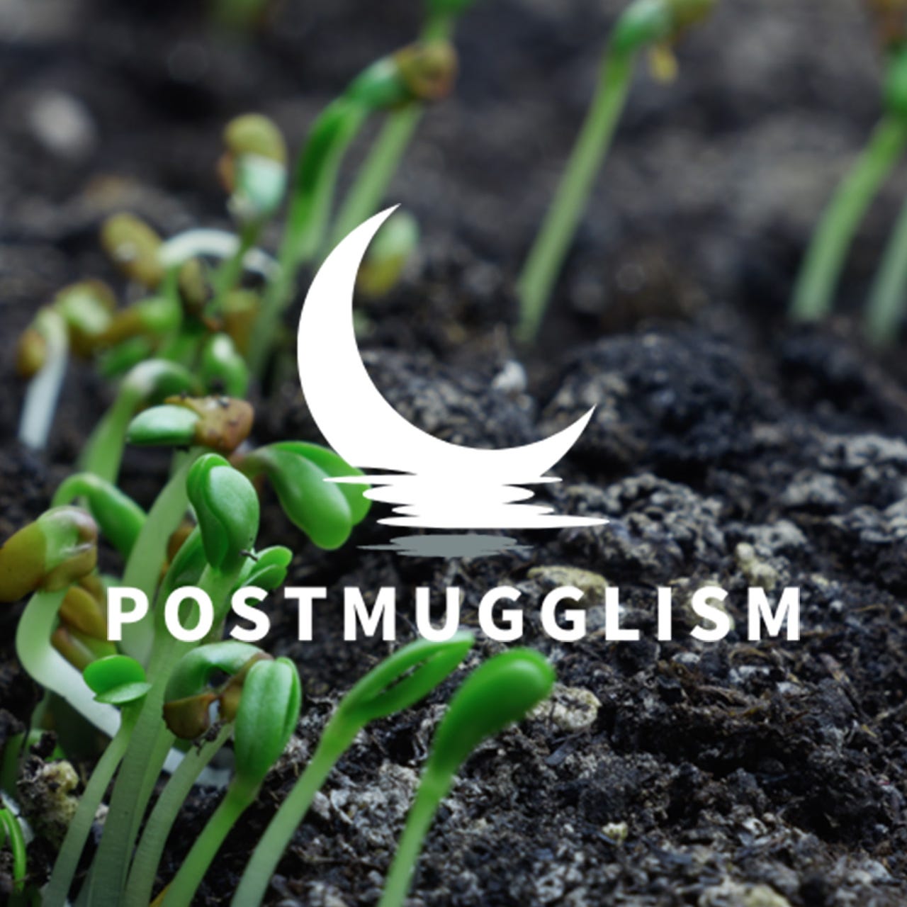 Artwork for Postmugglism