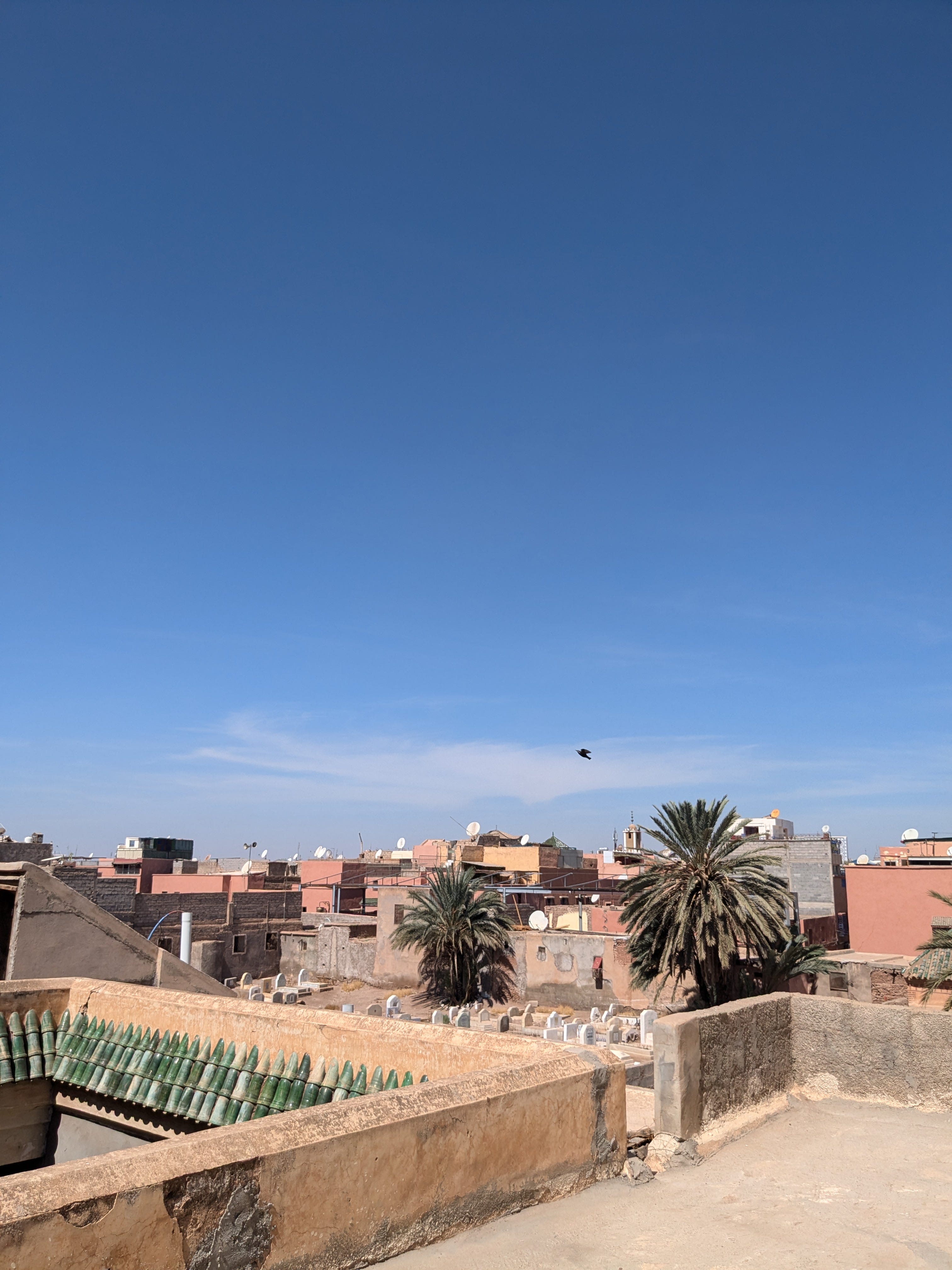 One Arabic Word With Many Meanings??!! by Habib