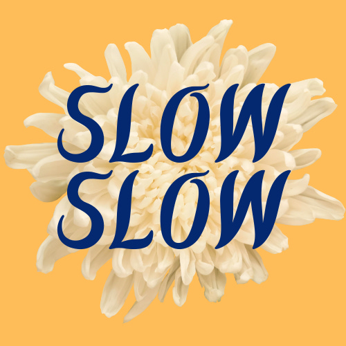 Artwork for SLOWSLOW