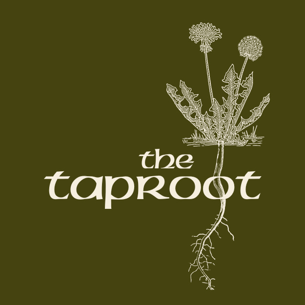 Artwork for The Taproot