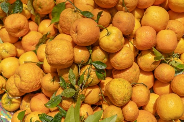 January 2025 Botanical of the Month ~ Bitter Orange ~ Citrus Aurantium