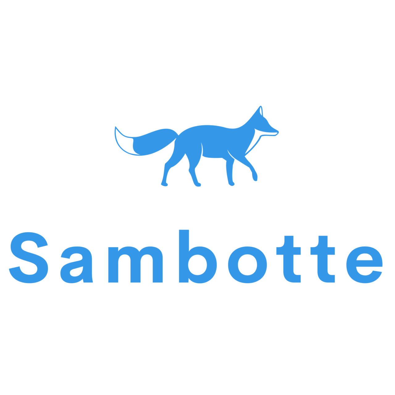 Artwork for Sambotte, les secrets du numérique