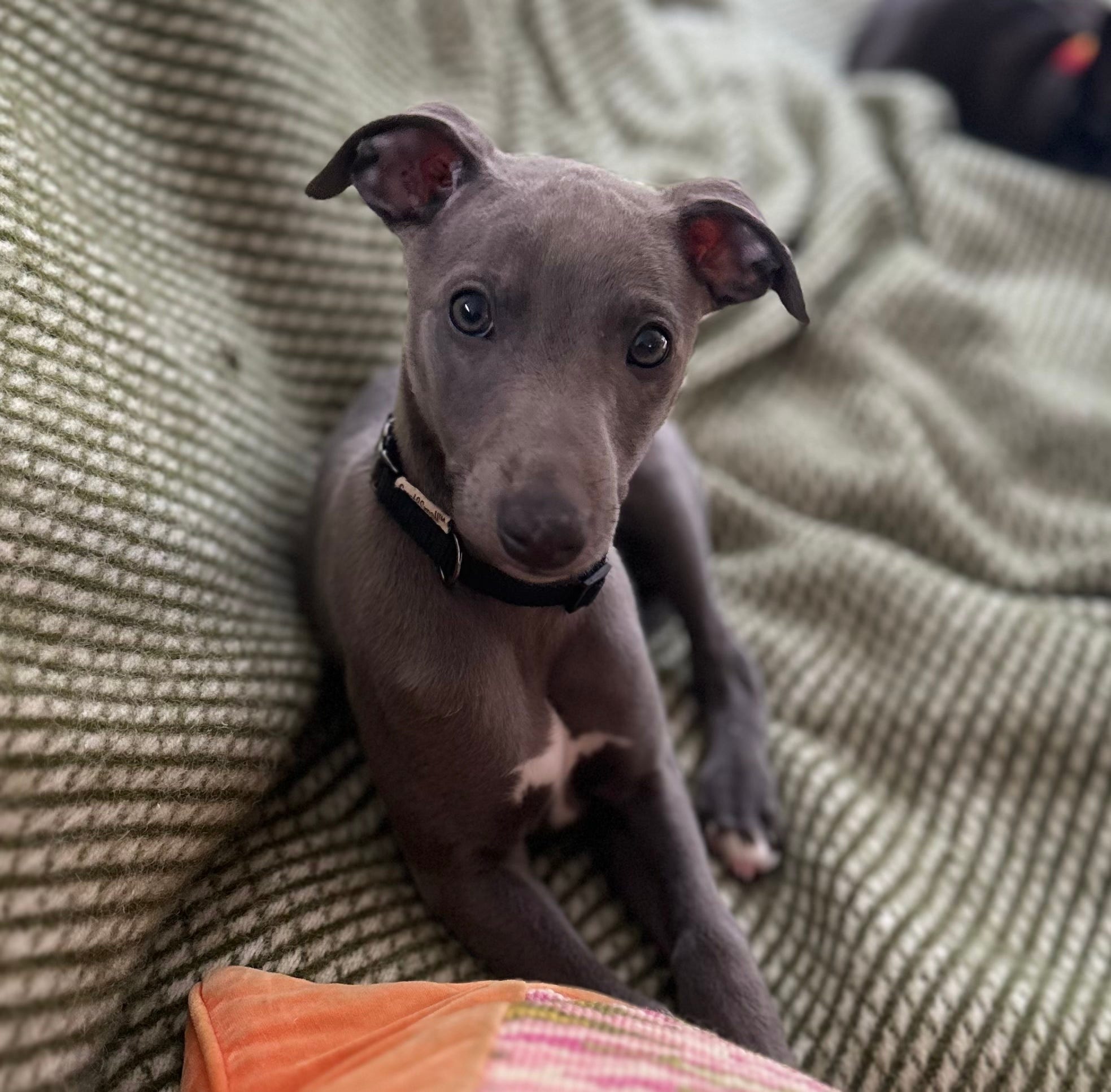 Thursday & Rain & Is it all too much by Bumble Ward