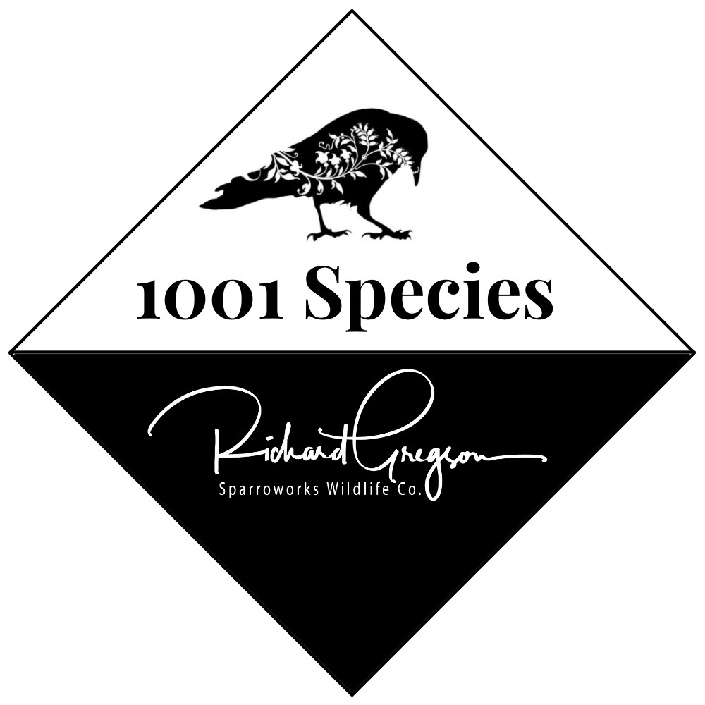 Artwork for 1001 Species 