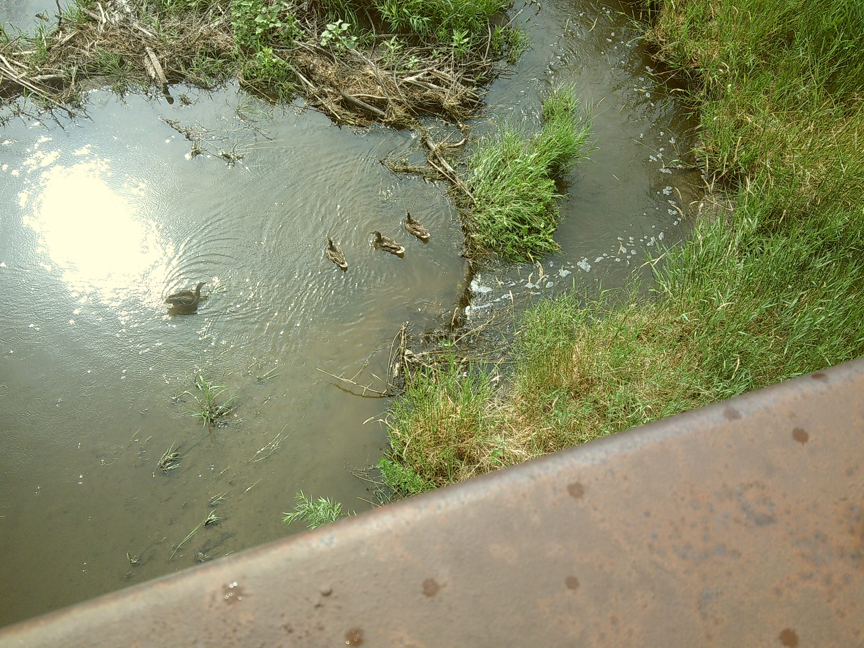 Throwing Yourself into a Messy Future