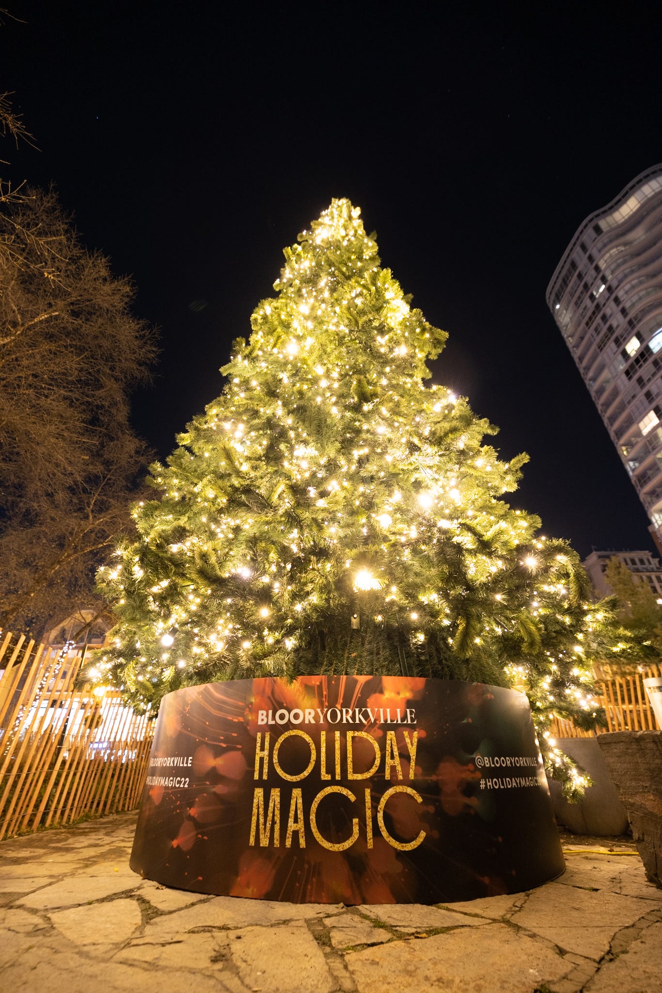 Holiday Attractions to check out this holiday season in Toronto