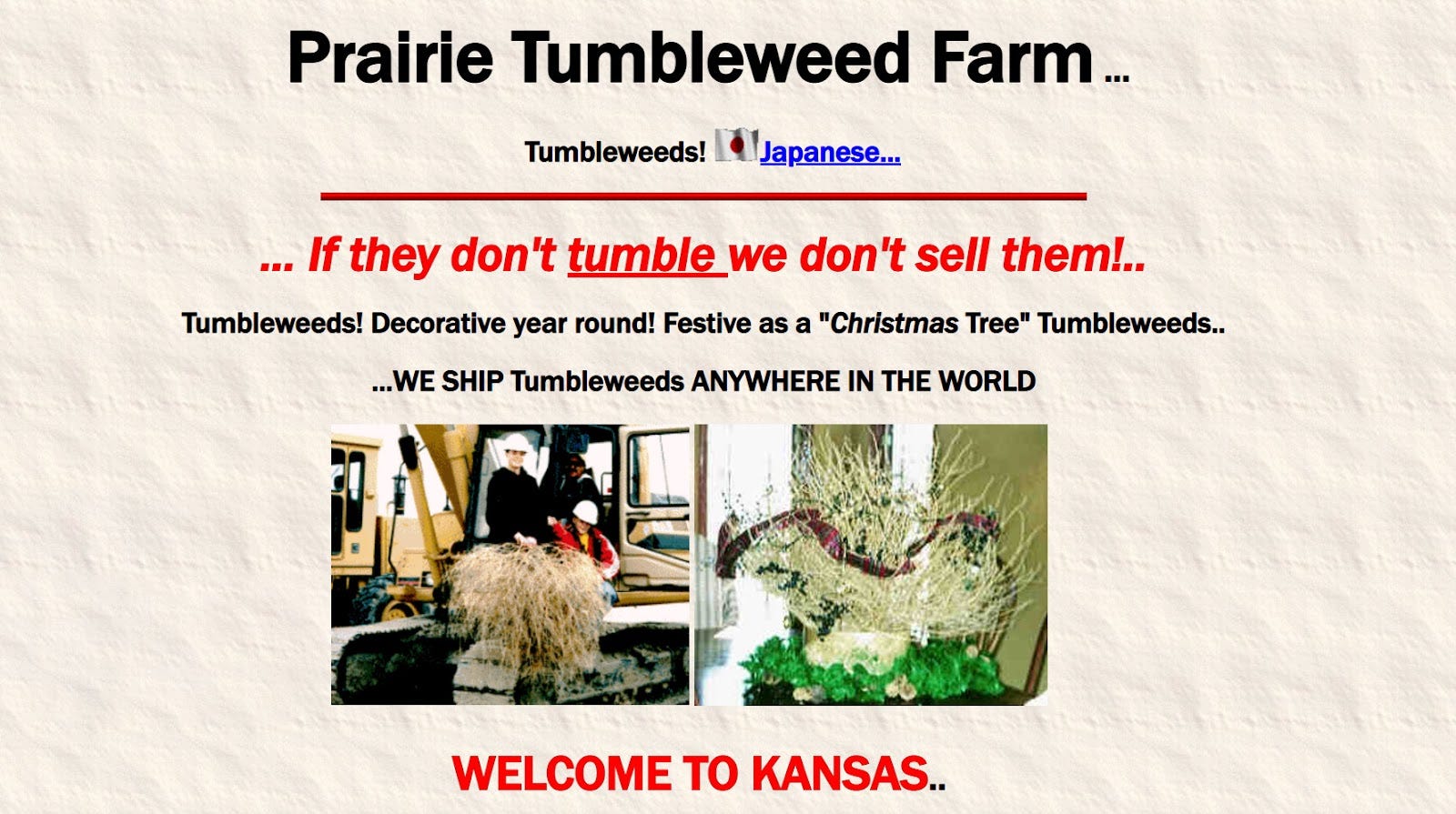 Tumbleweeds for Sale, Buy Tumbleweeds, Purchase Tumbleweed