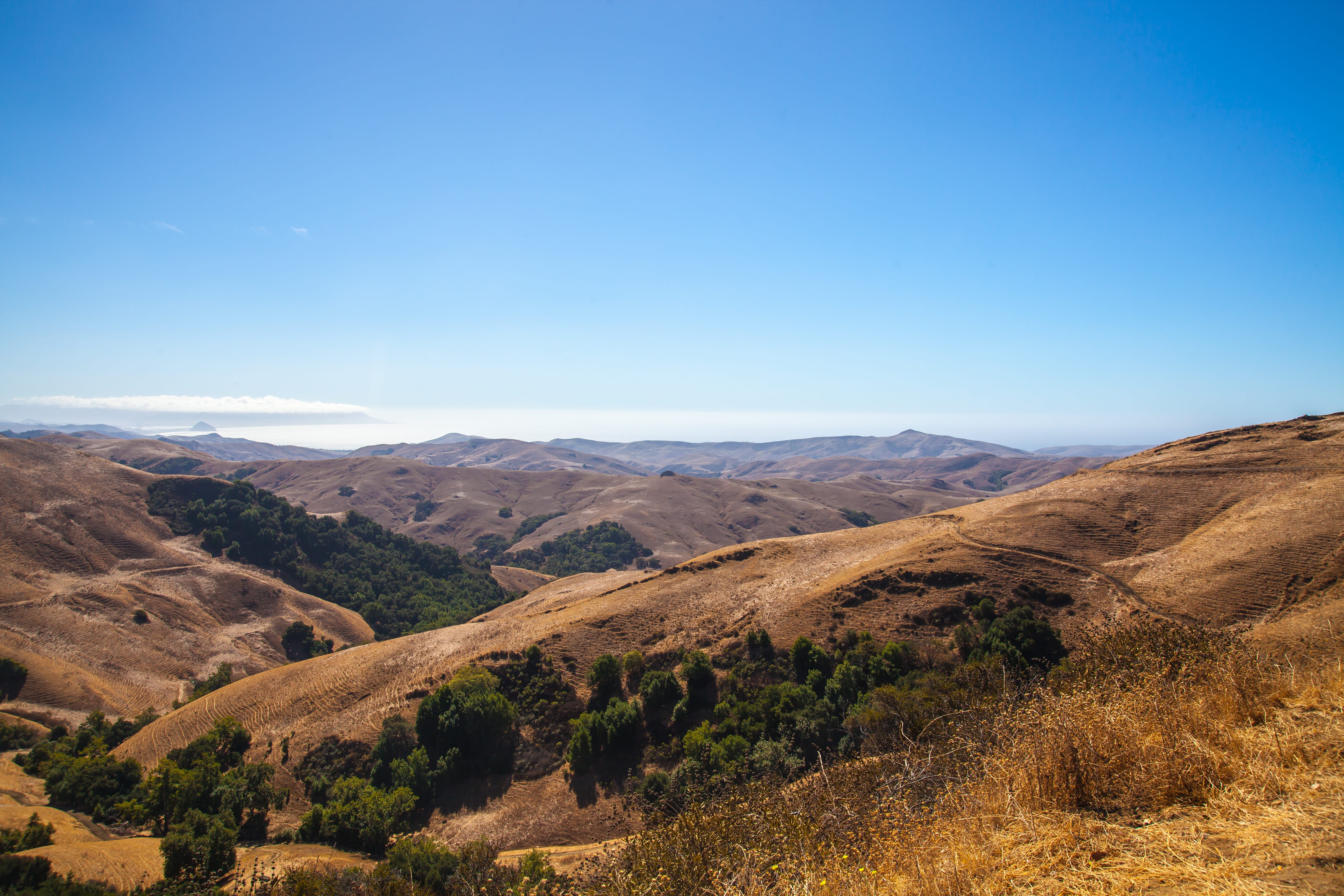 California Dreaming by Heather Inich