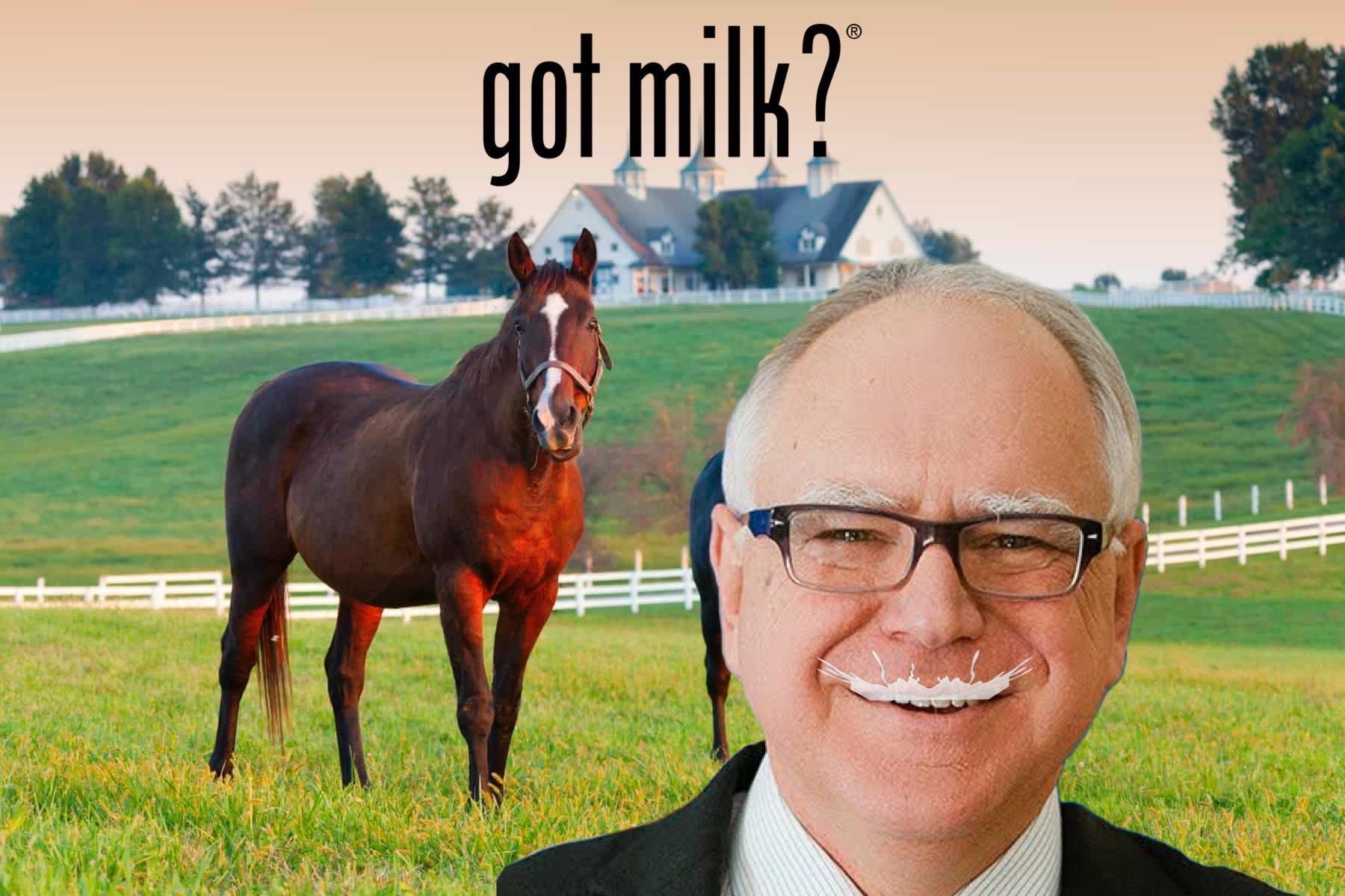 Tim Walz Horse: A Comprehensive Guide To The Minnesota Governor's ...