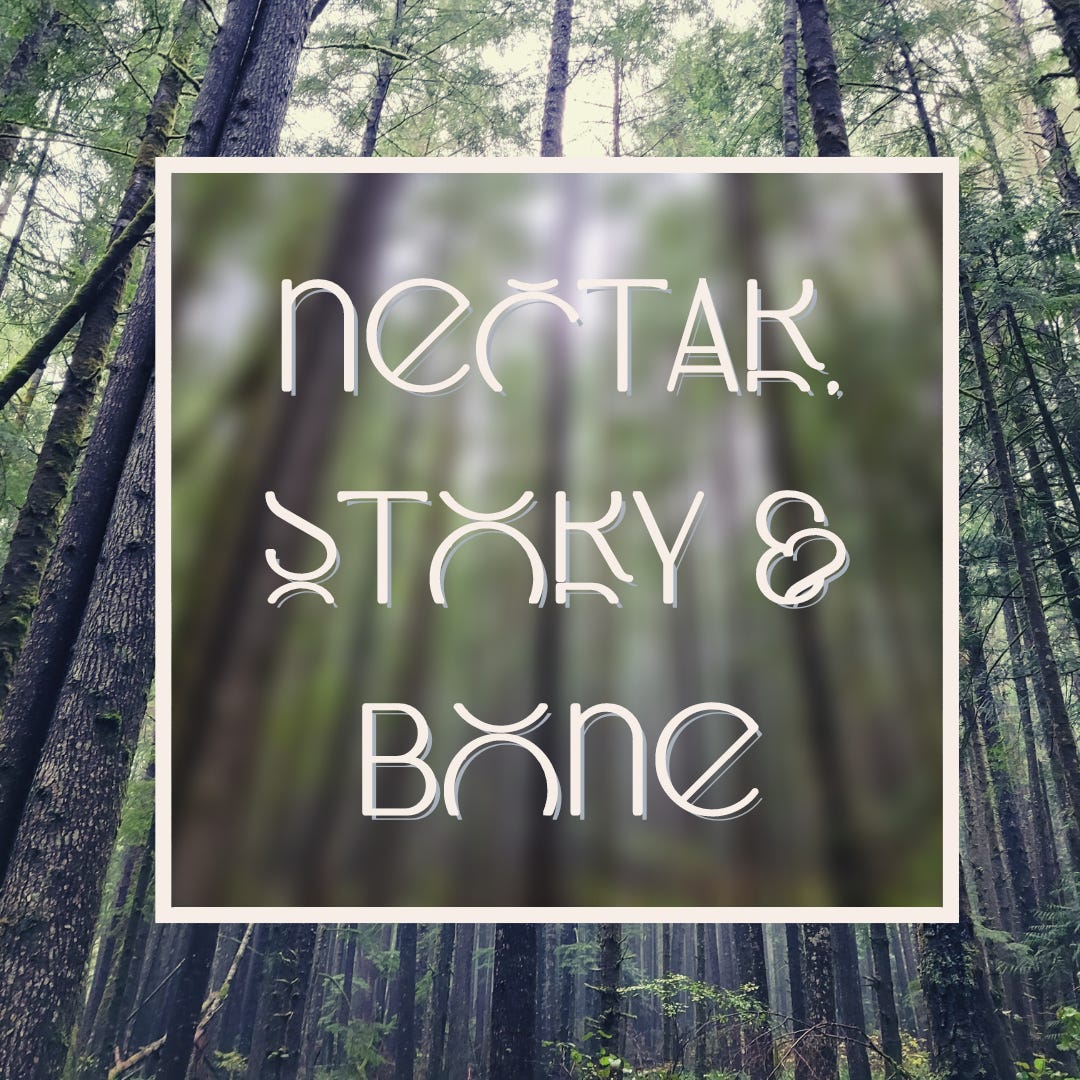 nectar, story & bone logo