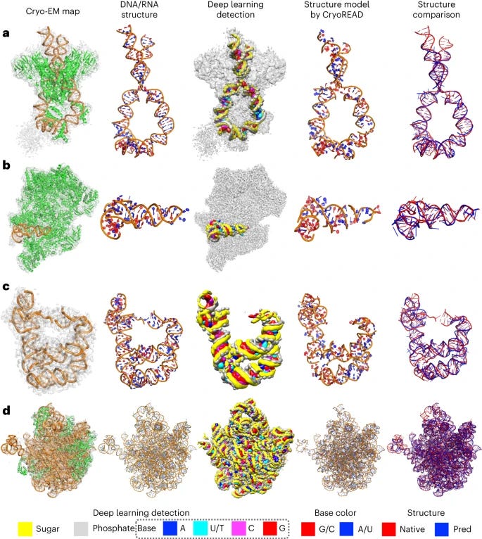 SCIENCE. RESEARCH ARTICLE. PROTEIN STRUCTURE PREDICTION BY AI LLM.  Evolutionary-scale prediction of atomic-level protein structure with a  language model 